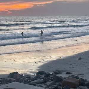 Meet your Posher, Hollyn